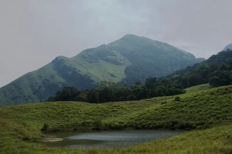 Kalpetta town Wayanad surrounded by green hills